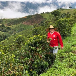 Duberney Cifuentes Fajardo - Colombia