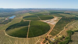 Ecoagrícola Café - Brazil 2023