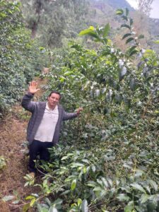 El Pino Peru 2023