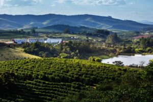 Fazenda Rio Verde - Brazil 2023