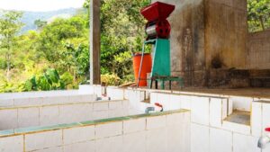 Finca Los Santos eru 2023