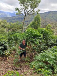 Finca Los Santos eru 2023