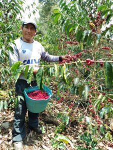 NW - Huatoroni - Perú 2023