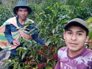 Pedregal Peru 2023
