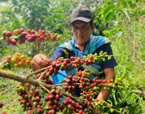 22 - Rosas Pata - Perú 2023