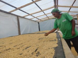 NW - Santa Sofia - Perú 2023