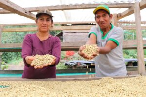 NW - Santa Sofia - Perú 2023