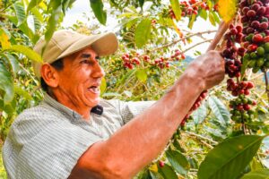 NW - Santa Sofia - Perú 2023