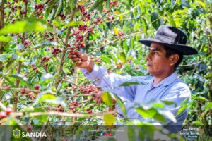NW - Santa Yamilet - Perú 2023