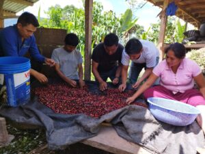 NW - Valle Cristal - Perú 2023