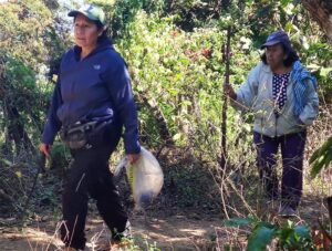 Cafetalera Angelita - Ecuador 2023