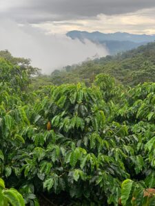 Cruz Loma - Ecuador 2023