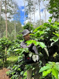 COE Indonesia 2023/24 Finca De Berman