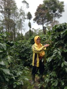 COE Indonesia 2023/24 Wanoja Coffee Plot Ita Rosita