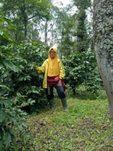 COE Indonesia 2023/24 Wanoja Coffee Plot Ita Rosita