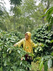 COE Indonesia 2023/24 Wanoja Coffee Plot Ita Rosita