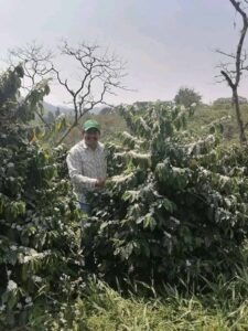 COE Mexico 2024 - Natural - Edgar Jonatan Olarte Romero