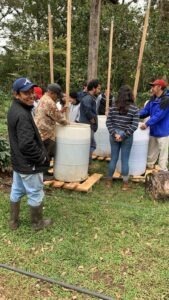 COE Mexico 2024 - Natural - Alejandra Martínez Gama Fernández - Finca Trebolillos