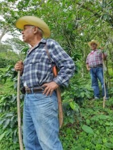 COE Mexico 2024 - Natural - Mario Alberto Aco Gómez - Finca Apipias