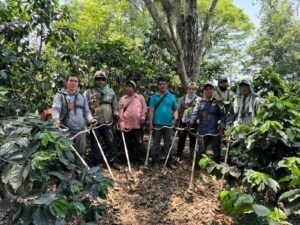 COE Mexico 2024 - Natural - Hilder Eugenio Lara Hernández - Finca Santoli