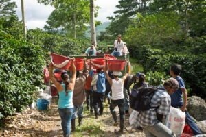 COE Costa Rica 2024 - AQUIARES