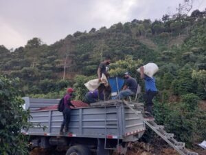 COE El Salvador 2024 - DON MAYO LA LOMA