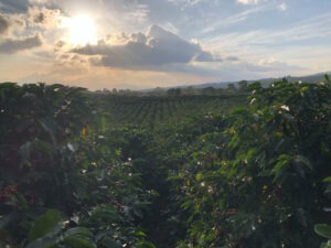 COE El Salvador 2024 - FCJ VOLCAN AZUL