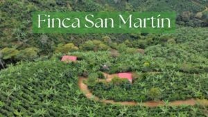 COE El Salvador 2024 - FINCA SAN MARTIN