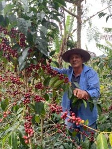 COE El Salvador 2024 - FINCA SAN MARTIN