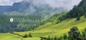 COE El Salvador 2024 - Los Morales