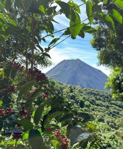 COE El Salvador 2024 - Campo Bello