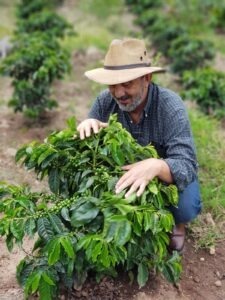 Cup Of Excellence Guatemala 2024 - El Eden