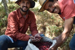 Cup Of Excellence Guatemala 2024 - La Bugambilia