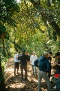 Cup Of Excellence Guatemala 2024 - OAK La Tacita