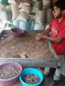 Cup Of Excellence Guatemala 2024 - OAK El Cipres