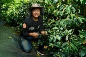 Cup Of Excellence Taiwan 2024 - 10 Melastoma Coffee Estate