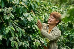 Cup Of Excellence Taiwan 2024 - 11 Zhuang Xuan Yoifo Coffee