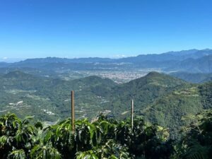 Cup Of Excellence Taiwan 2024 - 2. 向陽台灣咖啡 Sunlit Taiwan Coffee Farm-2