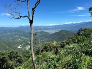 Cup Of Excellence Taiwan 2024 - 2. 向陽台灣咖啡 Sunlit Taiwan Coffee Farm-2