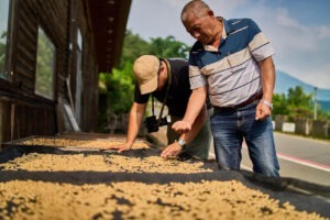 Cup Of Excellence Taiwan 2024 - 7 東泓咖啡莊園 Donghong Coffee Farm-2