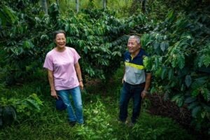 Cup Of Excellence Taiwan 2024 - 7 東泓咖啡莊園 Donghong Coffee Farm-2