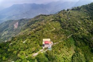 Cup Of Excellence Taiwan 2024 - 9 Zhuo Wu Mountain Coffee Farm