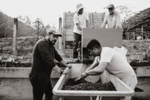 FOTOS NHT 02 Cruz José Argüello Enríquez - Finca Santa Cruz - COE Mexico 2025