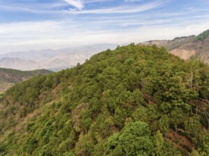 1A 1B W - El Salvador COE 2025 - 1W 1