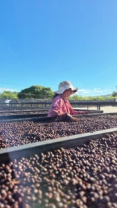 4. INVERSIONES SANTONANO, S.A DE C.V - El Salvador COE 2025 - BENEFICIO VIVAGUA