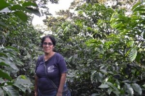 4. INVERSIONES SANTONANO, S.A DE C.V - El Salvador COE 2025 - BENEFICIO VIVAGUA