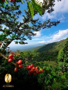 7N - El Salvador COE 2025