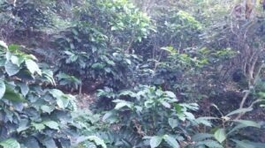 9EX - El Salvador COE 2025