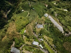 第18名：科子林咖啡莊園 - Taiwan COE 2025