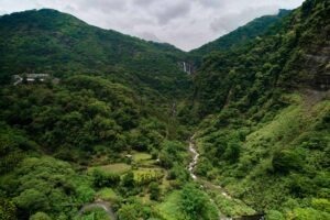第19名：花囍田咖啡莊園 - Taiwan COE 2025